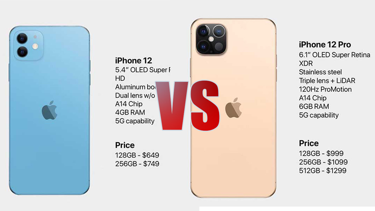 iphone 12 versions compared