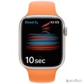 Apple Watch Series 7